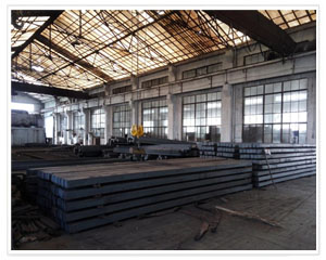 Raw material Purchase